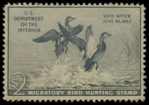 RW18 1951 Federal Duck Stamp Unsigned No Gum - Picture 1 of 1