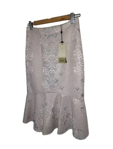 NWT Coast Lace Skirt Pencil Pale Pink Silver 10 RRP £79 - Picture 1 of 12