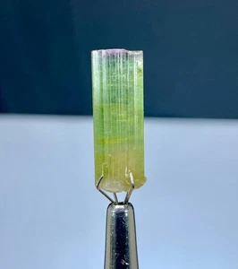 Cristal de turmalina bicolor de Paprok Afganistán - 17 quilates - Imagen 1 de 5