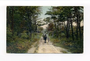Postal de Provincetown MA, Indian Trail Road to Race Point Light, caballo, buggy - Imagen 1 de 3