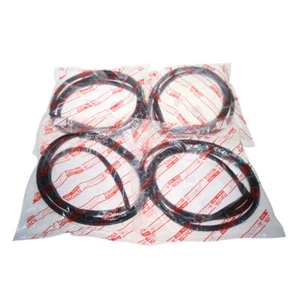 Fit 1973-79 Toyota Corona SE Sedan RT100 RT105 RT116 RT119 Door Weatherstrip Set - Picture 1 of 6