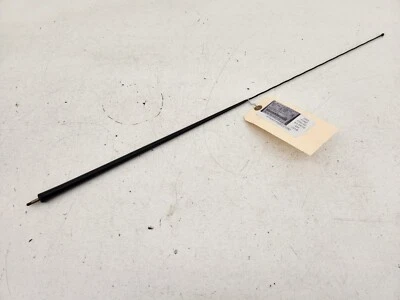 Mástil de antena de radio AM/FM Ford F250 F350 Super Duty 99-07 OEM Foto 1 de 2