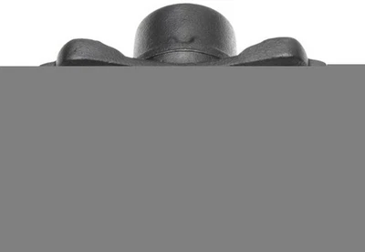 Pinza de freno delantera derecha para Pontiac Grand Prix Raybestos FRC11516 2004 Foto 1 de 2