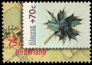 NETHERLANDS B637 - Sea Holly "Eryngium maritimum" (pb91761) - Picture 1 of 1