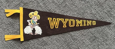 Vintage Wyoming Cowboys University Laramie Pennant 8.5x23.5 Football Cover