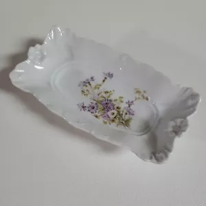 Antique C T Carl Tielsch Germany Porcelain Oblong Relish Butter Serving Bowl - Picture 1 of 12