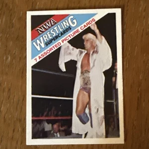 Ric Flair NWA Wrestling Trading Card Supercards Promotional Checklist WWE WWF - Picture 1 of 2