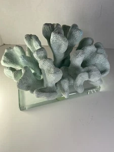 Seafoam Coral Sculpture 6”X 8”W X 5” H. On Glass Base, Ecologically friendly - Picture 1 of 8