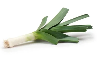 250 Graines de Poireau - légumes jardin potager - semences paysannes - Photo 1/3