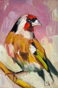 Pintura al óleo original jilguero pájaro obras de arte miniaturas arte enmarcado 5,5 x 7,5 pulgadas - Imagen 1 de 12