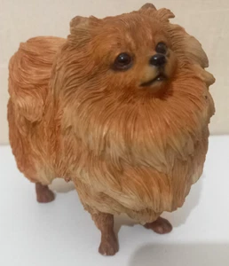 Leonardo Collection - Pommerscher Hund - Sammelfigur/Ornament - 12 cm - Bild 1 von 3