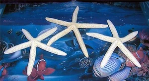 THREE (3) 6" to 8" WHITE PHILIPPINE STARFISH SEA SHELL BEACH DECOR TROPICAL A6 - Picture 1 of 1