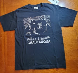 Vintage POG USA T-Shirt Uomo Grande Chautauqua Nero 303 NY Park Boulder Art - Foto 1 di 14