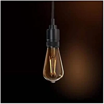 Luz colgante Feit Electric 3000161 negra 1 luces Foto 1 de 4