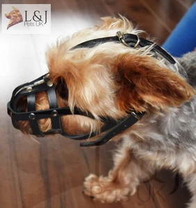 Bozal de cuero ligero para perro para mini jarra Chihuahua Yorkshire Terrier y otros - Imagen 1 de 10