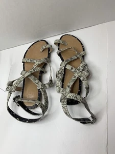 Cabi Athena Sandal Size 9 python snakeskin gladiator flat Flip Flop Style - Picture 1 of 11