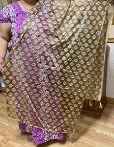India BRASSO LYCRA BORLA Dupatta Envoltura Bufanda Estola Chal Chunri NUEVO-beige dorado - Imagen 1 de 7