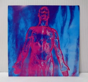 NIRVANA SLIVER DIVE SUB POP SP73 US FIRST PRESS 7” VINYL - Picture 1 of 5