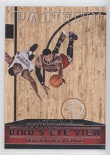 2013-14 Panini Bird's Eye View Derrick Rose #1