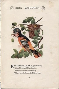 Elizabeth Gordon Bird Children: Baltimore Oriole. MT Ross 1912 lithograph print - Picture 1 of 1