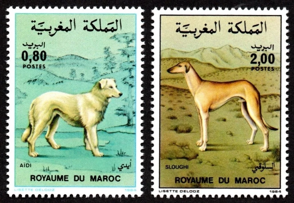 Morocco 1984 MNH 2v, Native dogs, Aidi, Sloughi Dog, Domestic Animals - Image 1 of 1