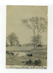 Matasellos Dedham MA Mass 1906 RPPC foto postal, canoa, estanque, árbol imponente - Imagen 1 de 2