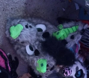 Geeen and grey hyena suit for sale!! - Picture 1 of 11