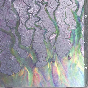 Alt-J Una Onda Asombrosa CD Europa Música Infecciosa 2012 INFECT134CD - Imagen 1 de 3