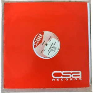 Natural Ites Picture On The Wall 1983 12" Vinyl Record CSA Records - Picture 1 of 7