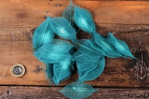 100 x Natural Skeleton Leaves TURQUOISE Rubber  Approx 2"/6-8 cm Craft Wedding - Picture 1 of 7