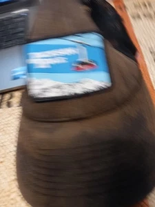 Jackson Hole Wyoming Trucker Hat Cap Snapback Adjustable Brown Patch Mesh - Picture 1 of 4