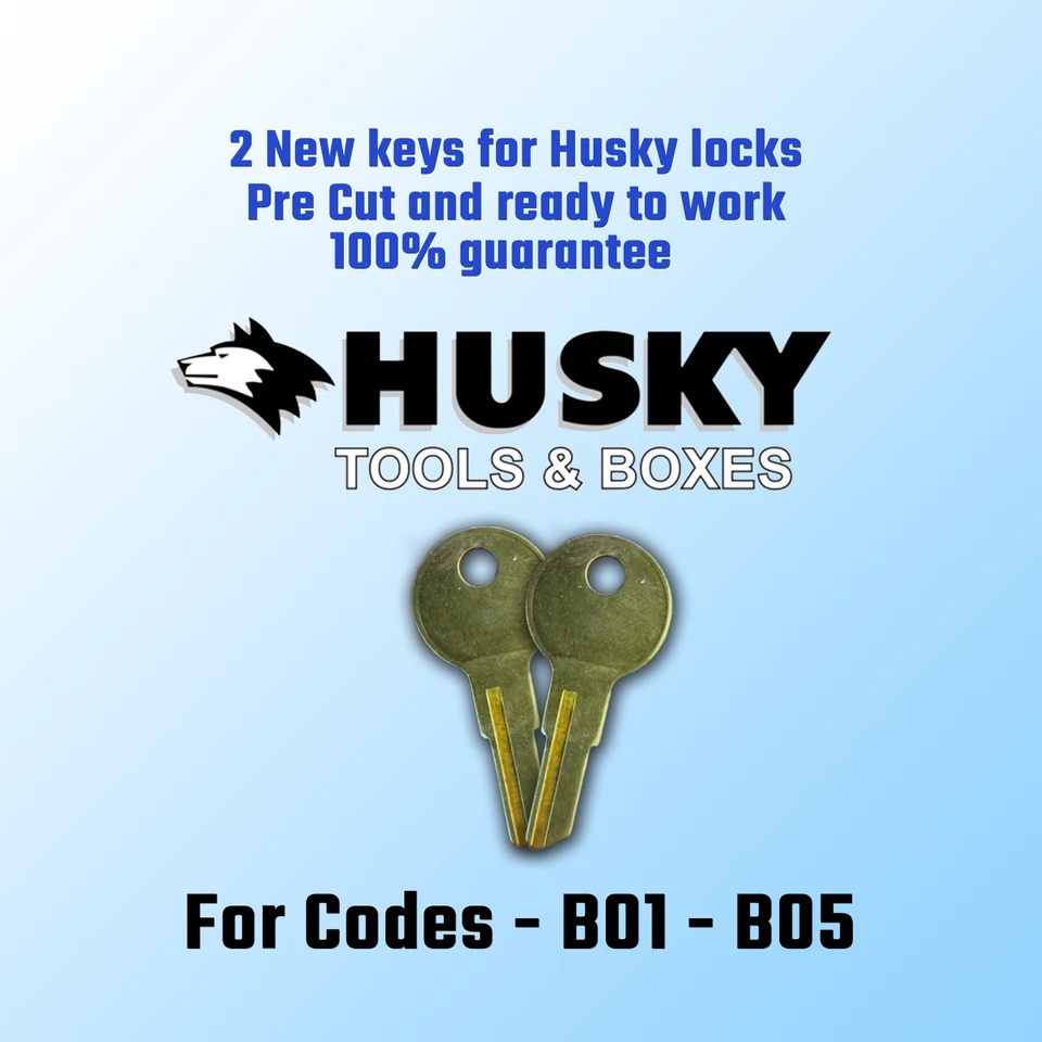 B01-B05, 2 llaves de repuesto nuevas para cerraduras de cofre de herramientas Husky. corte a su código.  Foto 1 de 1