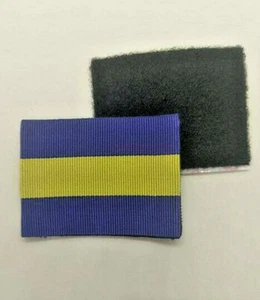 British Army Princess Of Wales Royal Regiment PWRR Combat Jacket/Shirt TRF Patch - Picture 1 of 2