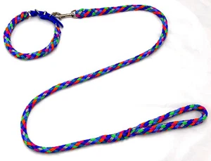 Hundeleine + Hundehalsband Florida Führleine 1-3m mit Hs und Hundehalsband S-XL - Bild 1 von 4