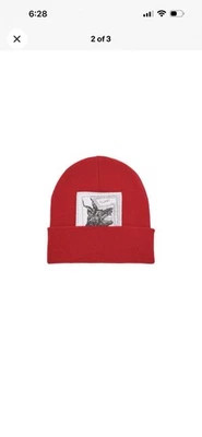 Бини Supreme X The North Face - Изображение 1 из 4