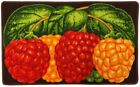 PRINTED KITCHEN RUG (nonskid latex back) (18" x 30") COLORFUL BERRIES by Daniel