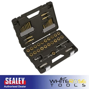 Sealey Premier Metric & SAE/Imperial Titanium Coated Hexagonal Tap Die Set 46pc - Picture 1 of 10