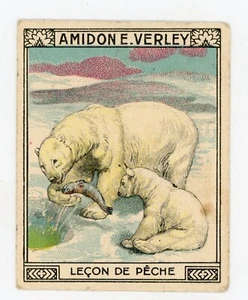 PUB, ancien chromo amidon VERLEY ours blanc Marquette Lille leçon de pêche - Picture 1 of 2