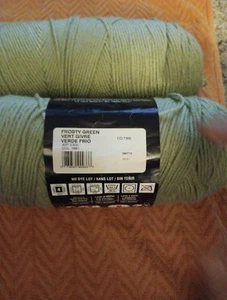2 Skeins Red Heart Super Saver Yarn #0661 Frosty Green Worsted Medium NEW - Picture 1 of 4
