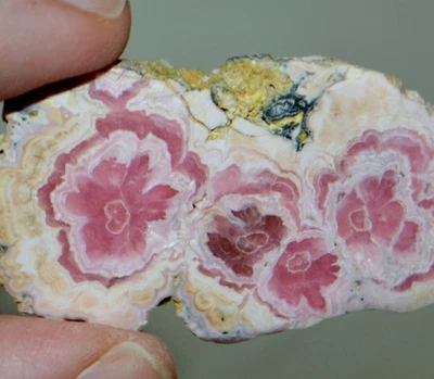 21 pcs lot Rhodochrosite Trapiche Flower slabs * from Argentina Wholesale Bulk - Image 1 of 4