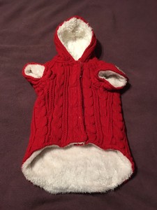 rhodesian ridgeback rescue near me