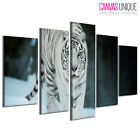 5PA594 White Tiger Prowl Snow Forest 5pcs Framed Canvas Wall Decor Ready to Hang