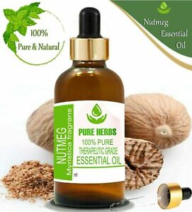 Pure Herbs Nutmeg 100% Pure and Natural Myristica fragrans Essential Oil