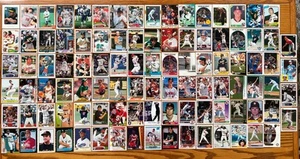 Huge Lot (100) Different Long Beach State University Beach Alumni Cards Dirtbags - Picture 1 of 18