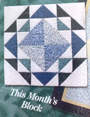 JoAnn Fabrics Block of the Month CENTURY QUILT KIT MAY 2000 Feed the Earth - Image 1 of 3