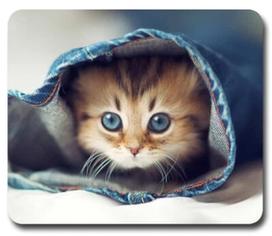 ADORABLE CUTE KITTEN - Mousepad Mouse Pad / Mat - CAT Lover HOME OFFICE GIFT - Picture 1 of 1