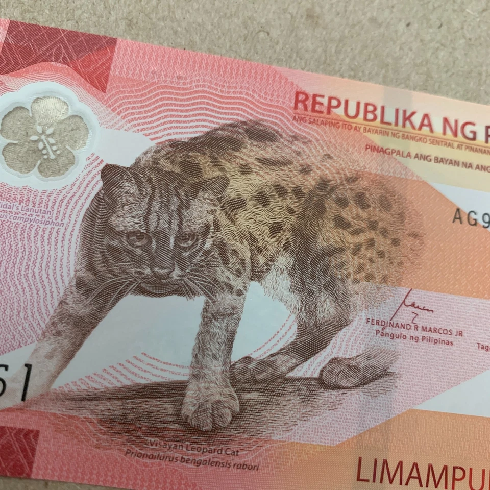 Nuevo billete de plástico polímero Leopardo 2025 Filipinas 50 Piso moneda filipina Foto 1 de 4
