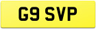 MITSUBISHI BARBARIAN SVP DOUBLE CAB NUMBER PLATE G9 SVP / SERIES 5 L200 GT NAME