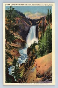 Postal de Lower Falls from Red Rock Yellowstone National Park Wyoming sin publicar - Imagen 1 de 2
