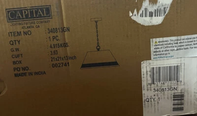 Capital Lighting 340813GN Hugo 20 英寸宽吊坠灯现代农舍灯具 — 第 1/4 张图片